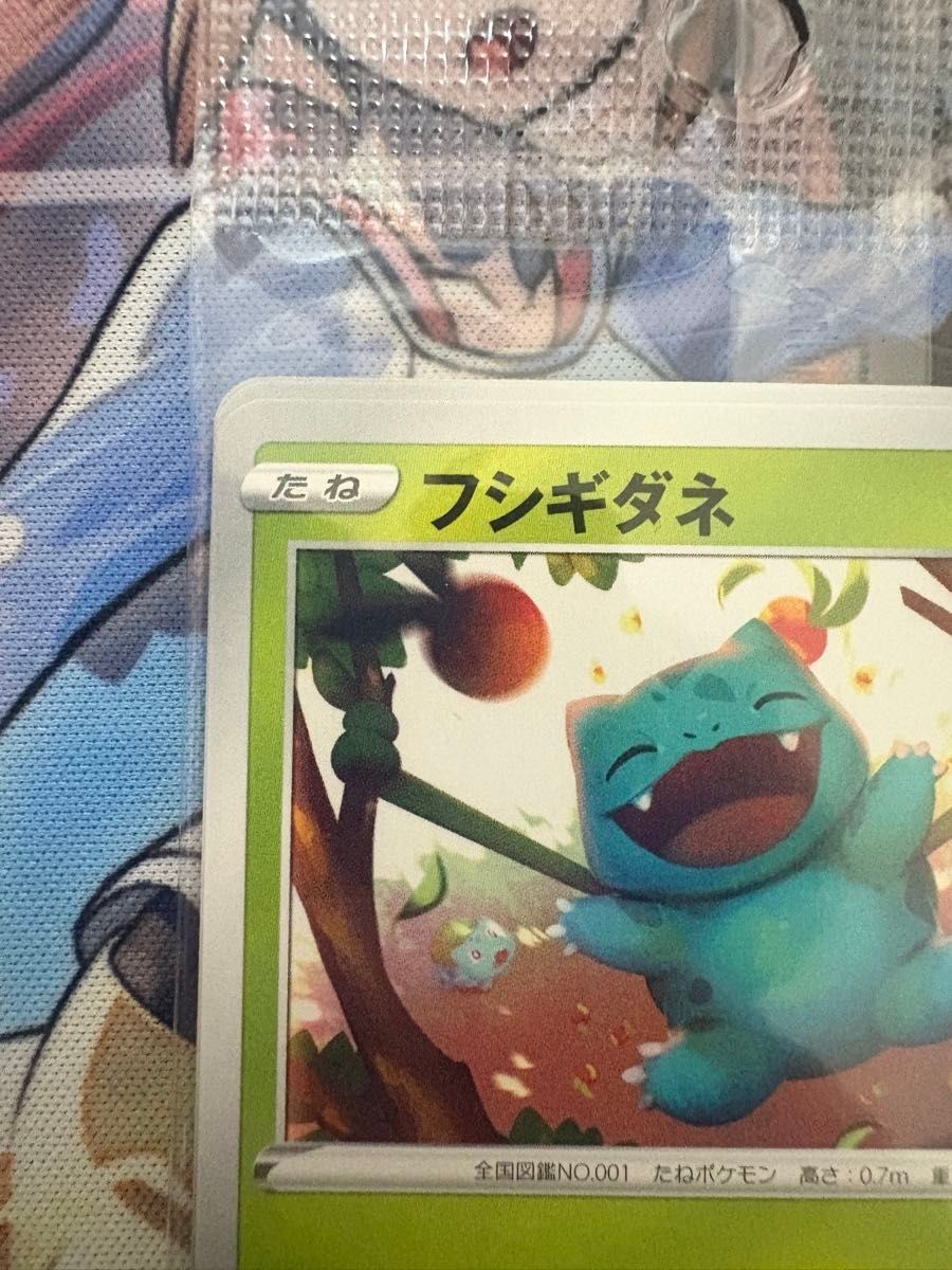 イラストレーションコンテスト 2022 プロモ 未開封 ゲッコウガ