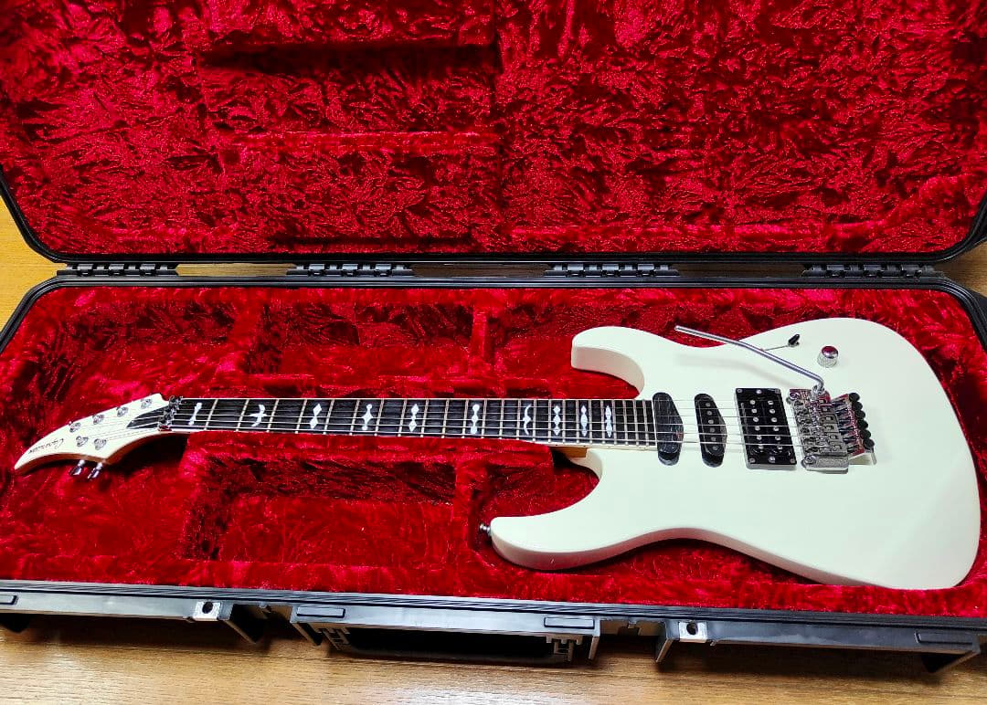 CAPARISON DELIINGER CA クリストファーアモットモデル