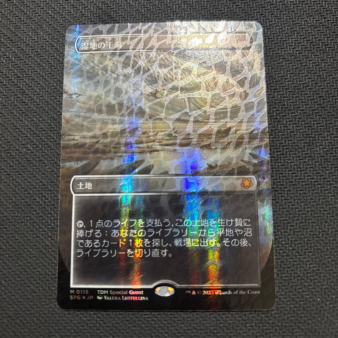 mtg 湿地の干潟 ドラゴンスケイルFoil ドラゴンスケイル・Foil】(115)□ボーダーレス□《湿地の干潟/Marsh